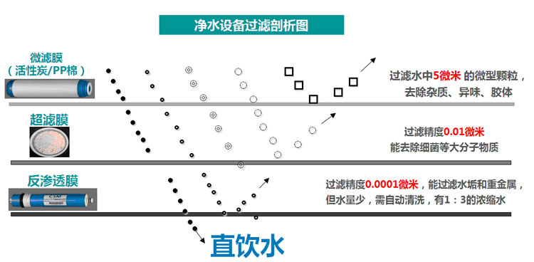 摩恩达活性炭解剖图